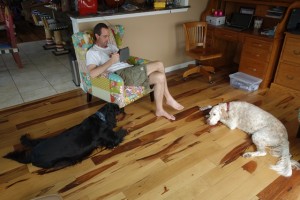 Time to chill in the TV room
