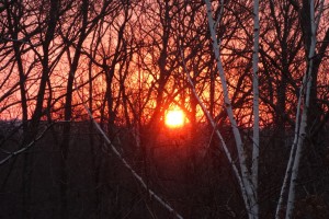 The end of a warm, if not hot, day! Red skies at night... Oh, that's right, we are not on a sailboat anymore!