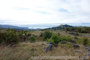 On top of Takaka Hill, South Island, New Zealand