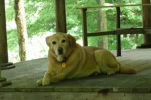 Jenny loves the front porch