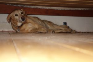 Time to wake up, Jenny!
