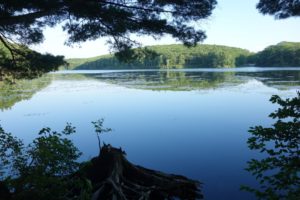 Benedict Pond