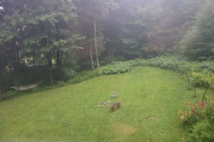 This morning, in Heath, MA: rain, rain, rain, and more to come for the foreseeable future.