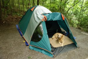 Our camp for two nights