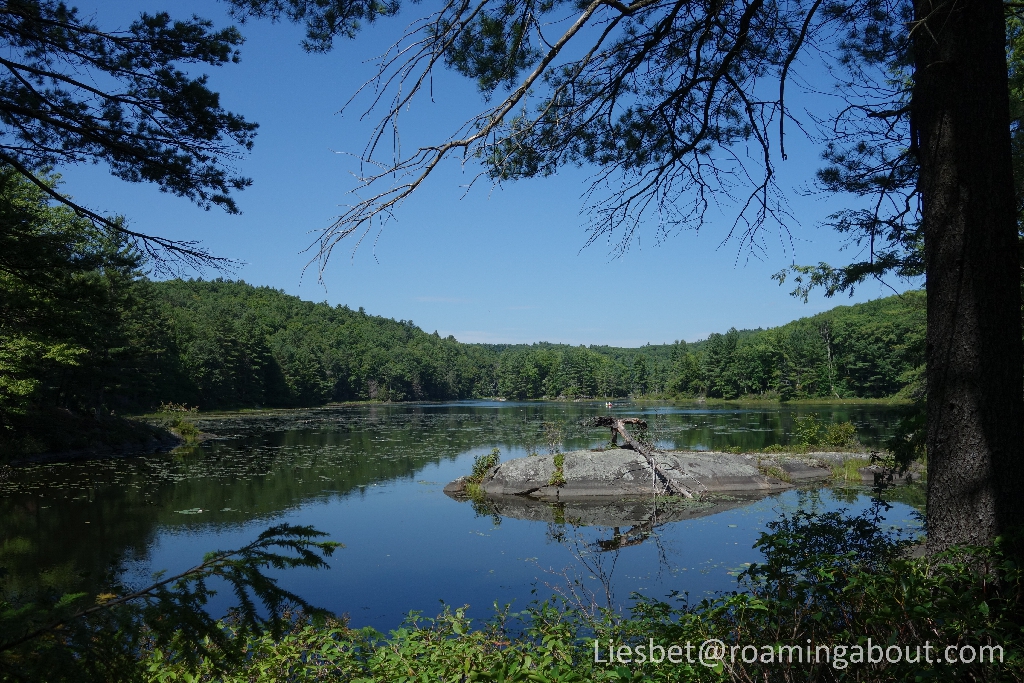 Mc Leod Pond, Catamount State Forest, MA