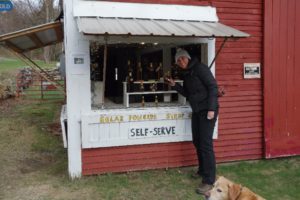 Opening the farm stand in spring time