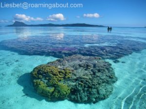 How to get to the beach without hitting precious reefs?