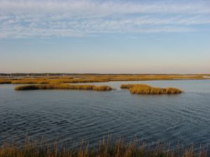 A morning along the ICW (Intracoastal Waterway), heading south to Florida with Irie