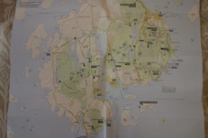 Desert Island, with the Park Loop Road on the right and our drive on the left side