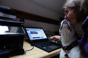 Even writing a blog has not always been easy in September!