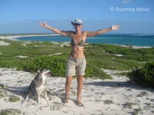 The freedom to roam, in Barbuda
