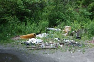 Some people do not care where they dump trash... This photo was taken near the Western Portal of the Hoosac Tunnel
