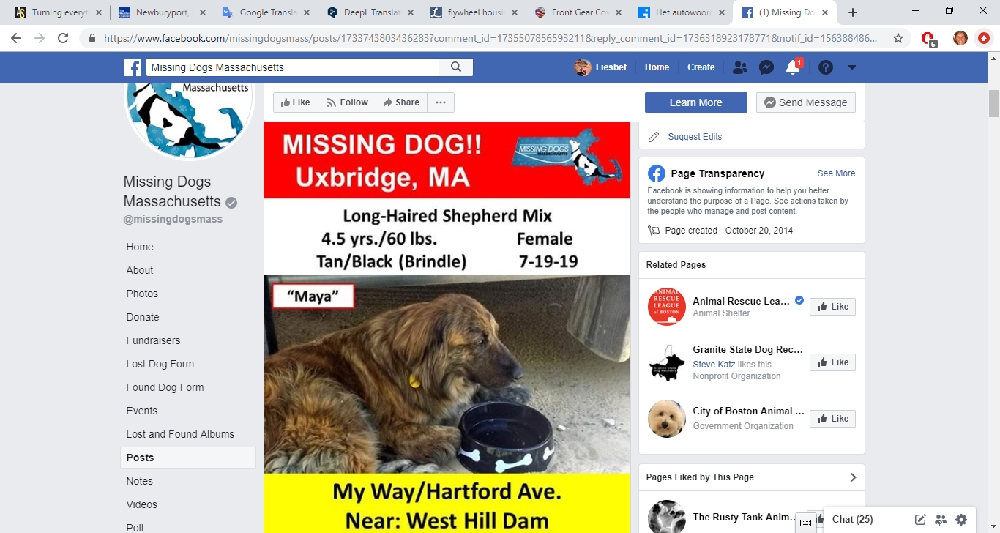 Missing Dog! A Story about Distress, Support, and Community Roaming