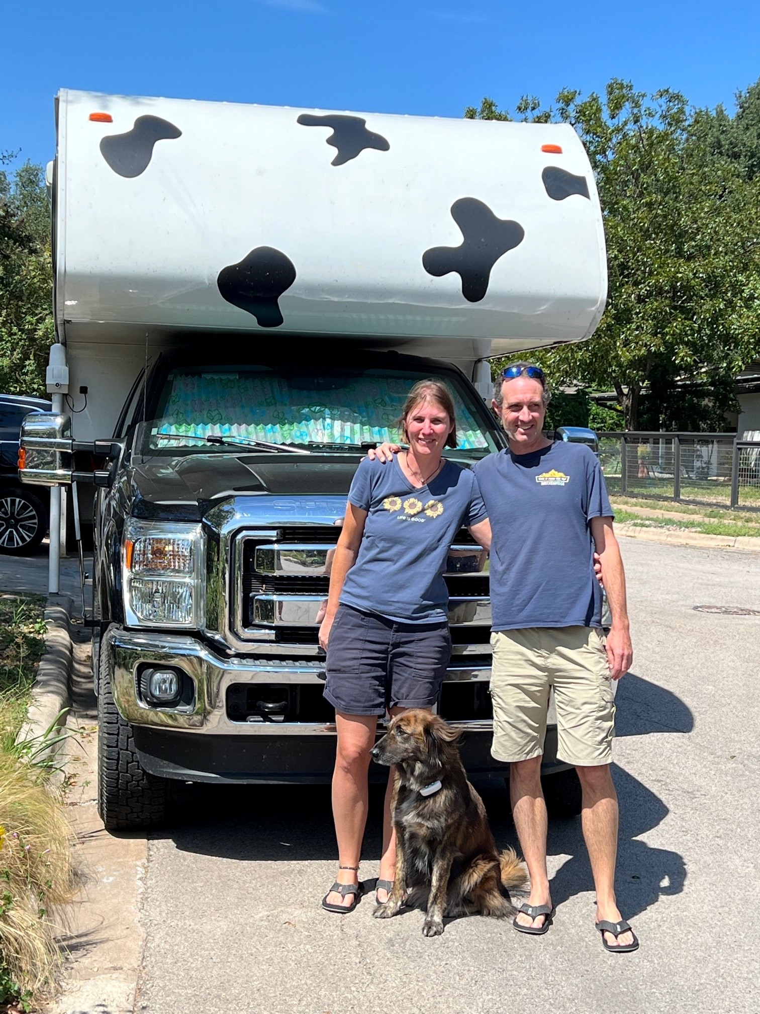 How Can I Ship My Dog From Colombia To Usa